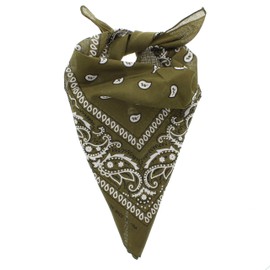 Zac's Alter Ego Retro Vintage Style Cowboy Paisley Bandana/Neckerchief/Durag