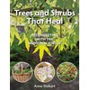 Trees and Shrubs that Heal: Reconnecting with the Medicinal Forest