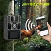 FKPCAM 2024 Trail Camera, Solar, Infrared Camera, Smartphone Compatible, Wildlife