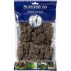 SuperMoss (25165) Reindeer Moss Preserved, Cashmere, 2oz Bag