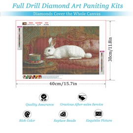 DMYYDSZH Diamond Painting Rabbit Art Set DIY Number Painting for Adult Beginners 5D Round Full Diamond Gem Art for Home Wall Decoration Gifts 12×16 Inch
