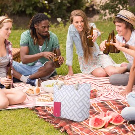 Mocoli Wine Shopping Bag, Wine Bag with Drinks Dispenser, Picnic Bag, 2000 ml, Portable Wine Edition Bag with 3 Inner Tanks, Wine Cooler Bag for Beach, Travel, Concert, Camping, 42.5 x 31.5 cm, Grey,