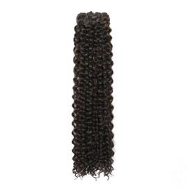 26 Inches Kinky Curly Clip In Hair Extensions Full Head 6 Separate Pieces Heat Resistance Black Synthetic Long Curly Clip in Hair Pieces 174g (SP2/4/30#, ANJO 26 inch)