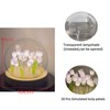 Hplvetoys 20 Tulips,Tulip Night Light LED Decoration Lamp,Glass Artificial Flower
