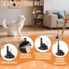 Acehome 20 Pack Cat Toys, Interactive Cat Teaser Toys Wand