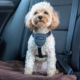 CarSafe Dog Travel Harness - Safely Secure Dog in car, ensures Road Laws and Insurance Terms When Travelling with Your pet. for Toy, Small, Medium and Large Dogs (Size X-Small)