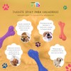 Fancy Pets Juguete de Caucho Spiky para Perro En Forma