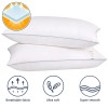 HIMOON Bed Pillows for Sleeping 2 Pack,Standard Size Cooling Pillows
