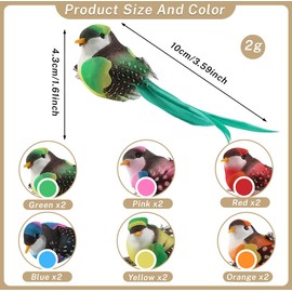 Dwafill 12 Pcs Multicolor Artificial Feather Garden Birds Clip Birds with Feathers Red Blue Yellow Pink Orange Turquoise