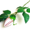 ChalkTalkSPORTS Baseball Rose | Baseball Gifts Genuine Baseball Leather