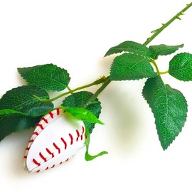 ChalkTalkSPORTS Baseball Rose | Baseball Gifts Genuine Baseball Leather