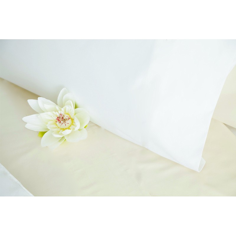 Belledorm Pink Fitted Sheet, 100% Cotton, 200 Thread Count Percale