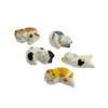 speed mao Cute Snooze Cat Ceramic Chopsticks Rest Caratry Set