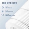 Nispira KF170 Replacement Filter for Kenmore PM1005 850e Air Purifier,