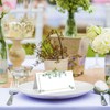 100 PCS Table Place Cards,Table Setting Reception Seating Name Cards,Rectangle