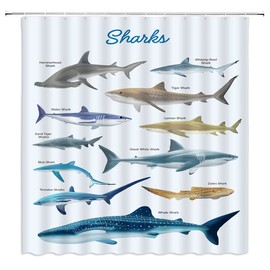ZKJSMGS Shark Shower Curtain Ocean Themed Fish Marine Sealife Teens Various Sharks Blue Bathroom Home Curtain Decor with Hooks,70" Wx70 H