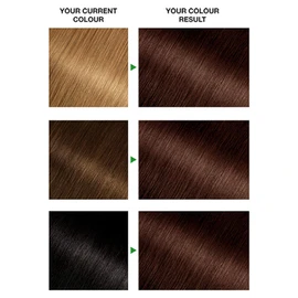Garnier Nutrisse Permanent Hair Colour 4 Tamarind Dark Brown