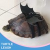 Turtle Harness and Leash with Wings- Harness Strap Chest Collar