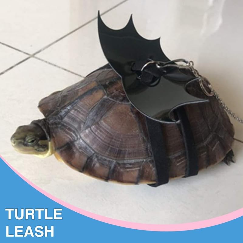 Turtle Harness and Leash with Wings- Harness Strap Chest Collar