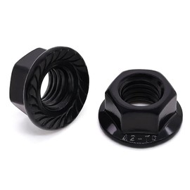 Glvaner 3/8-16 Stainless Steel Hex Flange Nuts, Hexagon Head Serrated Flange Lock Nuts, 304 Stainless Steel 18-8, Black Coated, 20 pcs