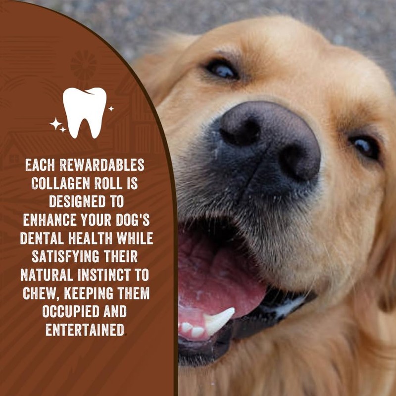 Rewardables Healthy Chewers Peanut Butter Collagen Rolls 2 Count |