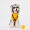 HowlyWoof Dachshund Sweater for Fall Winter, 2-Leg Dog Knitwear with