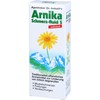 APOTHEKER Dr. Imhoff's Arnica Pain Fluid S 100 ml