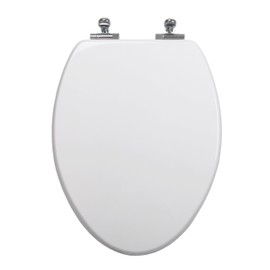 TOPSEAT 6TSUE9999SL 000 Elongated Toilet Seat with Metal Hinges, White