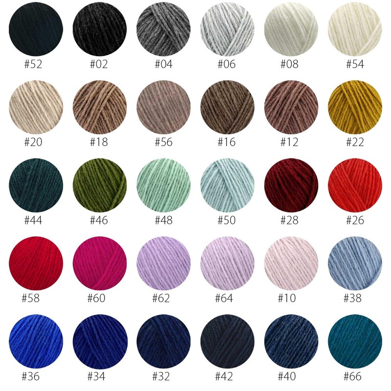 Pascuali Cashmere 6/28, 25 g, 100% Cashmere Wool, Organic Cashmere