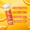 Careleaf Vitamin C 1000mg with 10mg Zinc Effervescent Tablets –