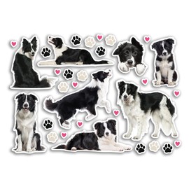 A5 Sticker Sheet Border Collie Vinyl Stickers - Dogs Puppy Animals Scrapbooking Travel Decoration Label Friend Girls Boys Aesthetic #80810