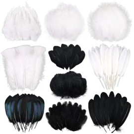 300 Pcs Small Feathers 10 Style Mixed Spotted Decorative Natual Pheasant Feather for DIY Crafts Clothing Jewelry Hair DecorationColor: Black+White