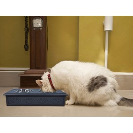 Iconic Pet Sassy Paws Wooden Pet Double Diner with Stainless Steel Food & Water Bowls for Dogs & Cats - Charcoal Gray -Small