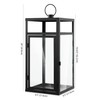 SAFAVIEH Lighting Collection Fraleigh Black/Clear Glass Decorative Outdoor Lantern