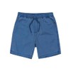 Quiksilver Shorts Taxer Youth Youth Blue 10