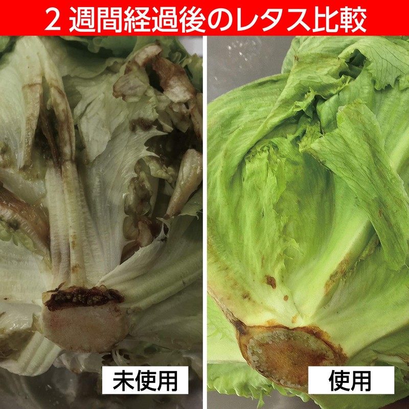 Astro 510-06 Freshness Retention, Yellow-Green, Vegetables, Fruits, Preserves Freshness, Permanent,