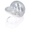 Pet Water Dispenser Food Feeder Cat Automatic Drinking Snail Shape