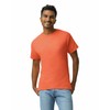 Gildan Adult Ultra Cotton T-Shirt, Style G2000, Multipack, Orange (2-Pack),