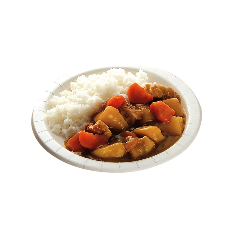 Nippon Dixie Super Plate Value 10.2 inches (26 cm), 12