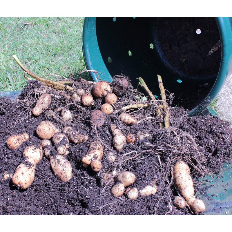 City Pickers Spud Tub Potato Grow Kit – Works Great