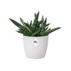 elho Brussels Round Mini 9.5 - Flower Pot for Indoor