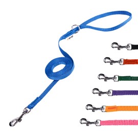 GoGo Pet Products 3/8-Inch Wide Comfy Nylon Dog Leash, 6-Feet Long, Blue