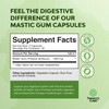 High Strength Mastic Gum Capsules - Herbal Digestion Supplement Providing