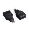 REY Mini DP (DisplayPort) Male to HDMI Female 1080P Adapter