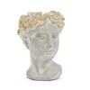 Abbott Collection Aphrodite Head Planter – Medium Indoor and Outdoor