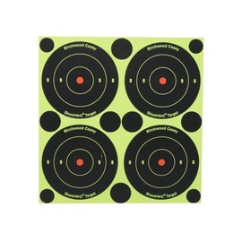 Birchwood Casey Shoot-N-C 3-Inch Round Bull's-Eye Target (Pack of 12)