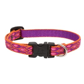 Lupine Alpen Glow Adjustable Dog Collar for Small Dogs