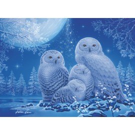 Ravensburger Puzzle 12000479 - Owls in Moonlight - 500 Pieces Puzzle for Adults and Children from 12 Years, Animal Puzzle