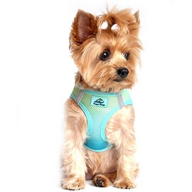 Doggie Design No Choke Dog Harness - Simple Step-in and Go Dog Vest for Small, Medium, and Large Breeds - Breathable Mesh Polyester Pet Harness - Aruba Blue - XS