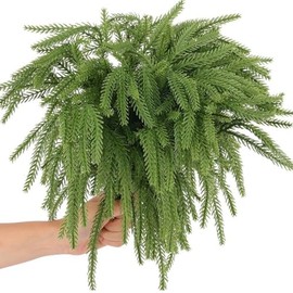 XZJMY 35Pcs Real Touch Norfolk Pine Branch,Christmas Norfolk Pine Branches,Faux Evergreen Pine Branches,Artificial Green Plants for Christmas Wreath Making DIY Crafts Home Decoration (35, 13.8")